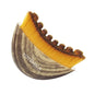 Facial Massage Brush